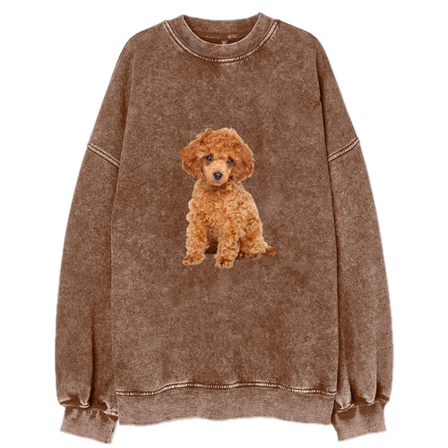 Toy Poodle Vintage Sweatshirt