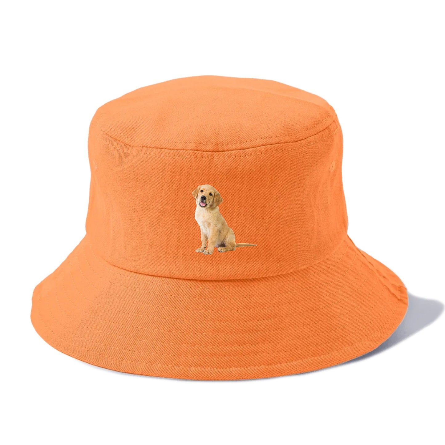 Playful golden pup with a cheerful expression Hat