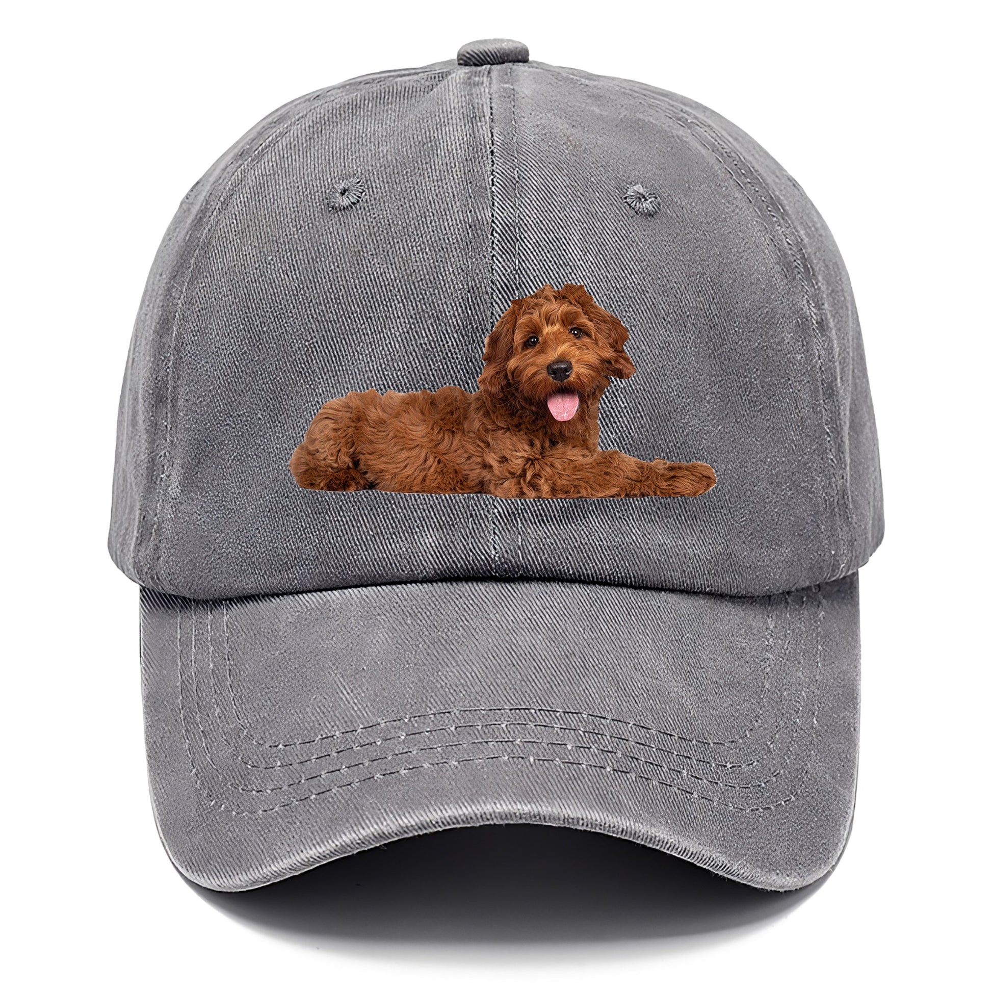 Labradoodle laying down Hat