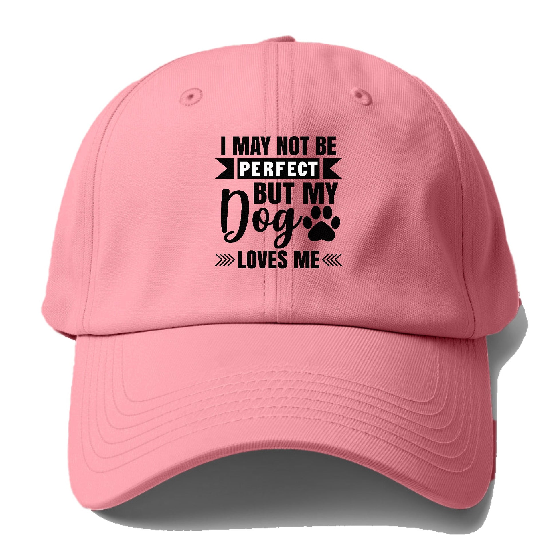 I may not be perfect but my dog loves me Hat