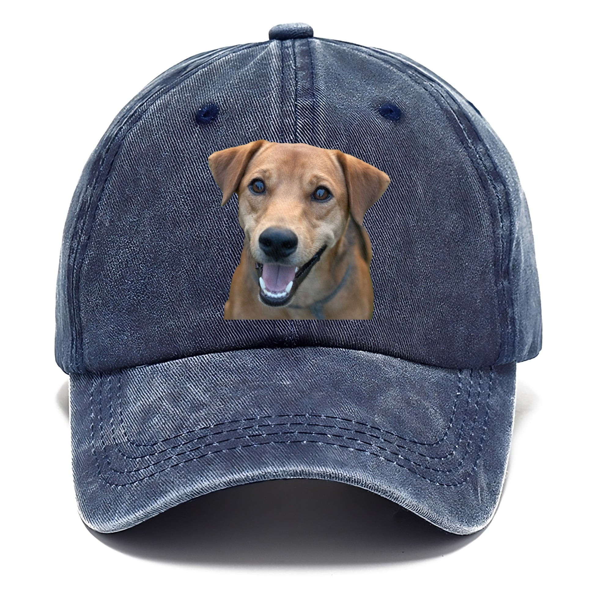 Labrador Hat