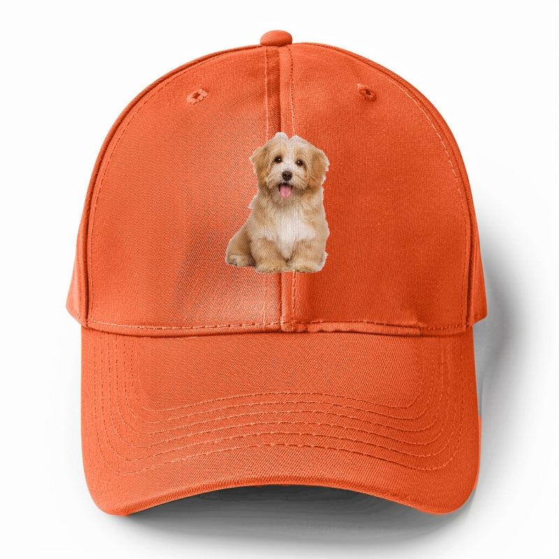 Adorable Shih Tzu Hat