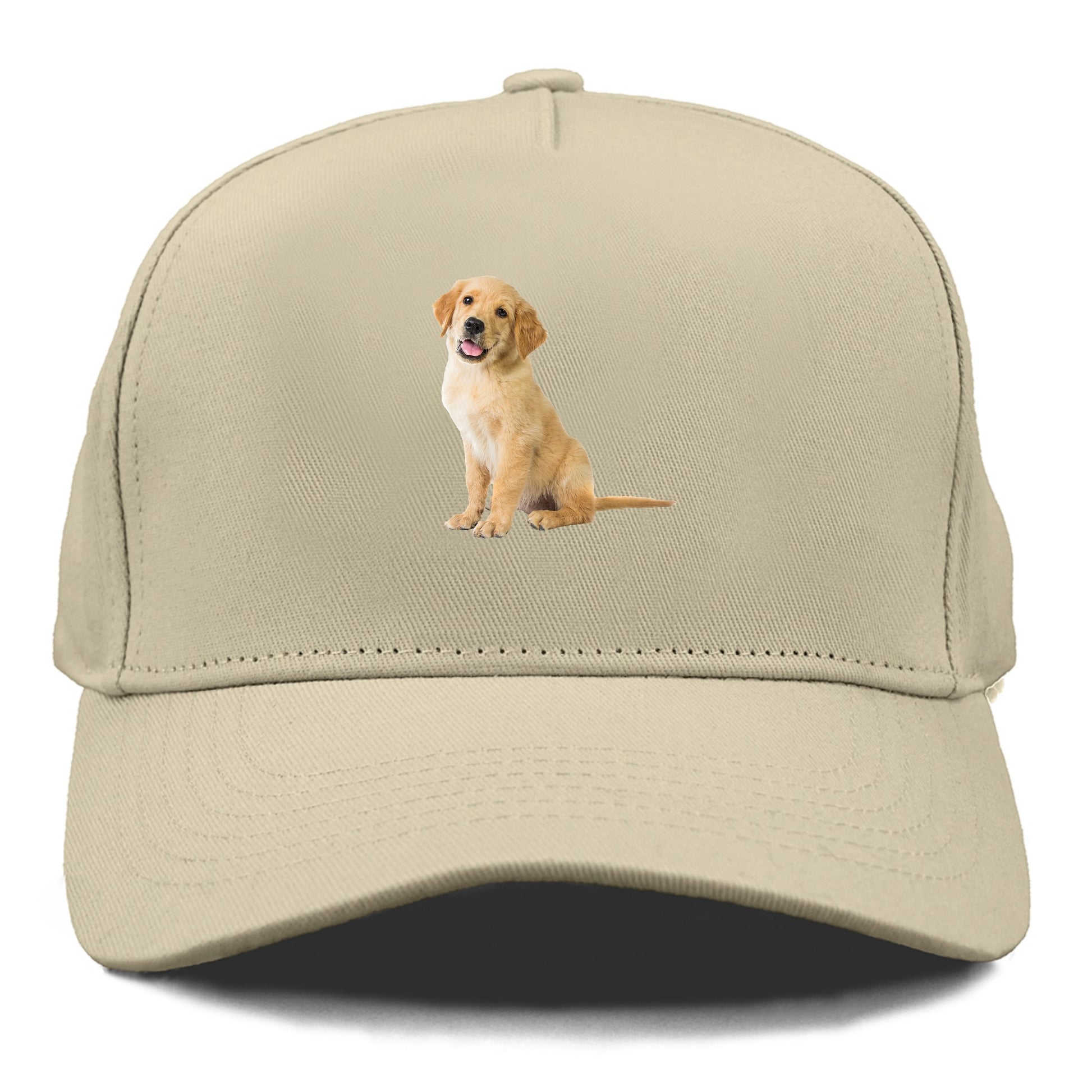 Playful golden pup with a cheerful expression Hat