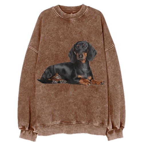 Dachshund Vintage Sweatshirt