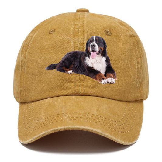 bernese mountain dog Hat