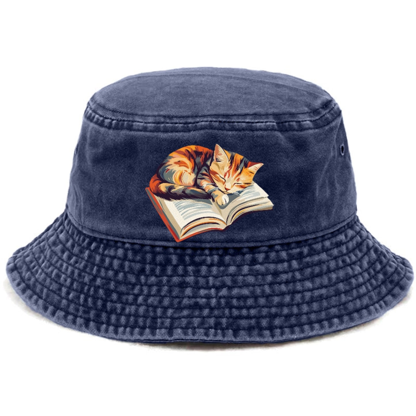 Cat Nap on Book Hat