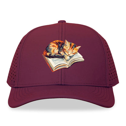 Cat Nap on Book Hat