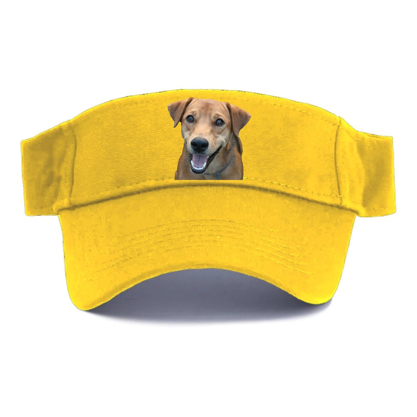 Labrador Hat