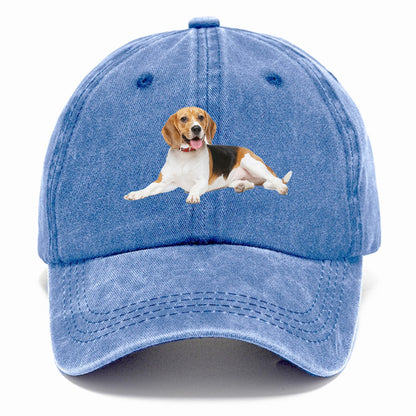 beagle Hat