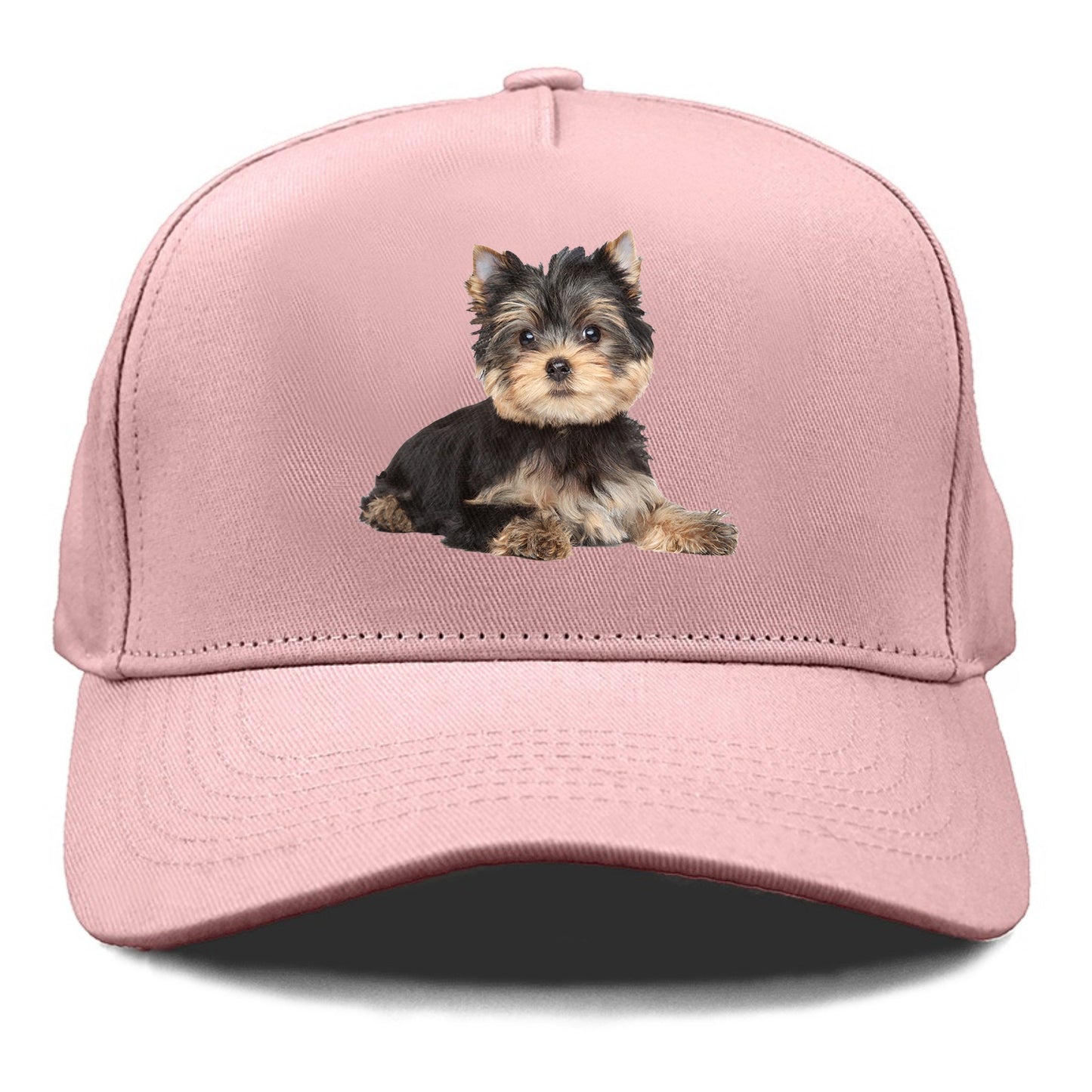 Yorkshire terrier Hat