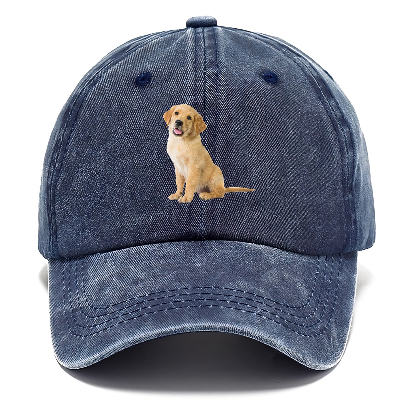 Playful golden pup with a cheerful expression Hat