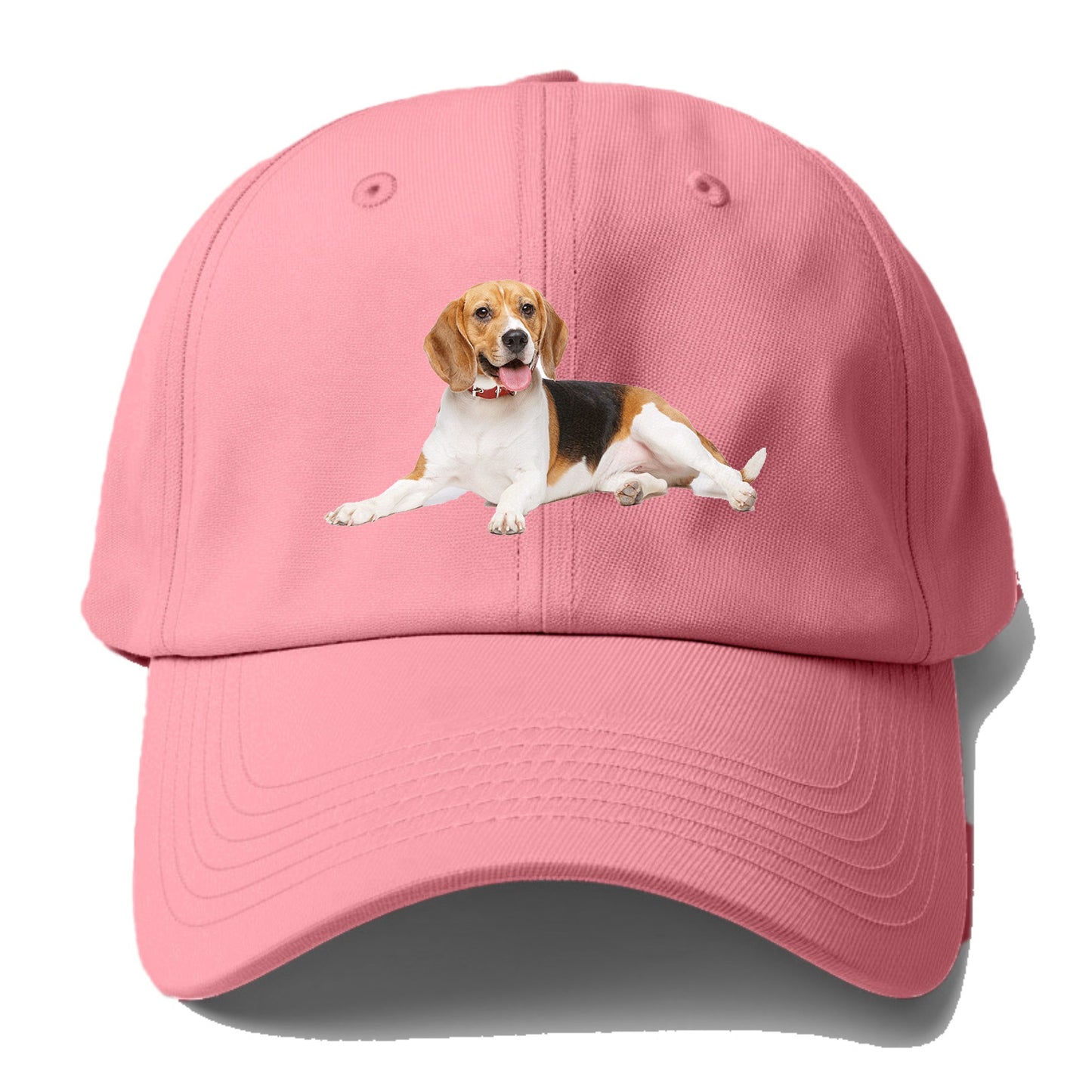 beagle Hat