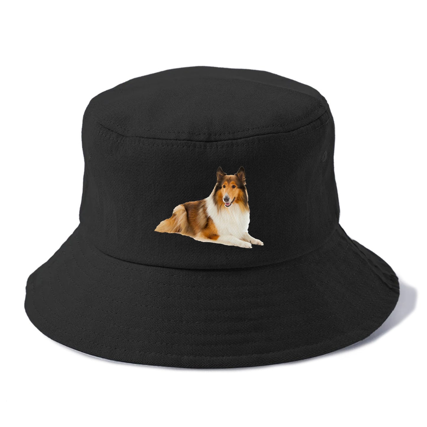 Rough Collie Hat