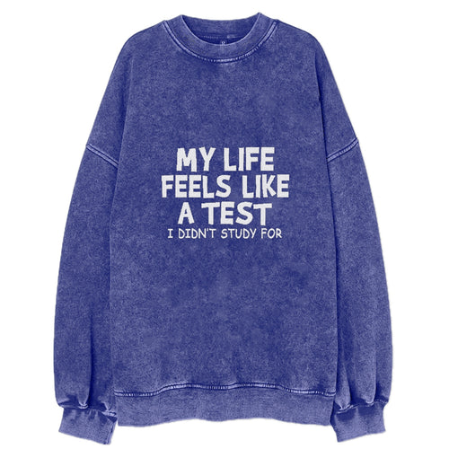 My Life Feels Like A Test Vintage Sweatshirt