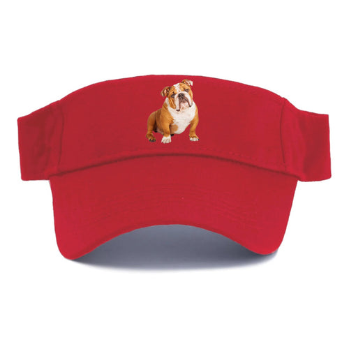 Bulldog Visor