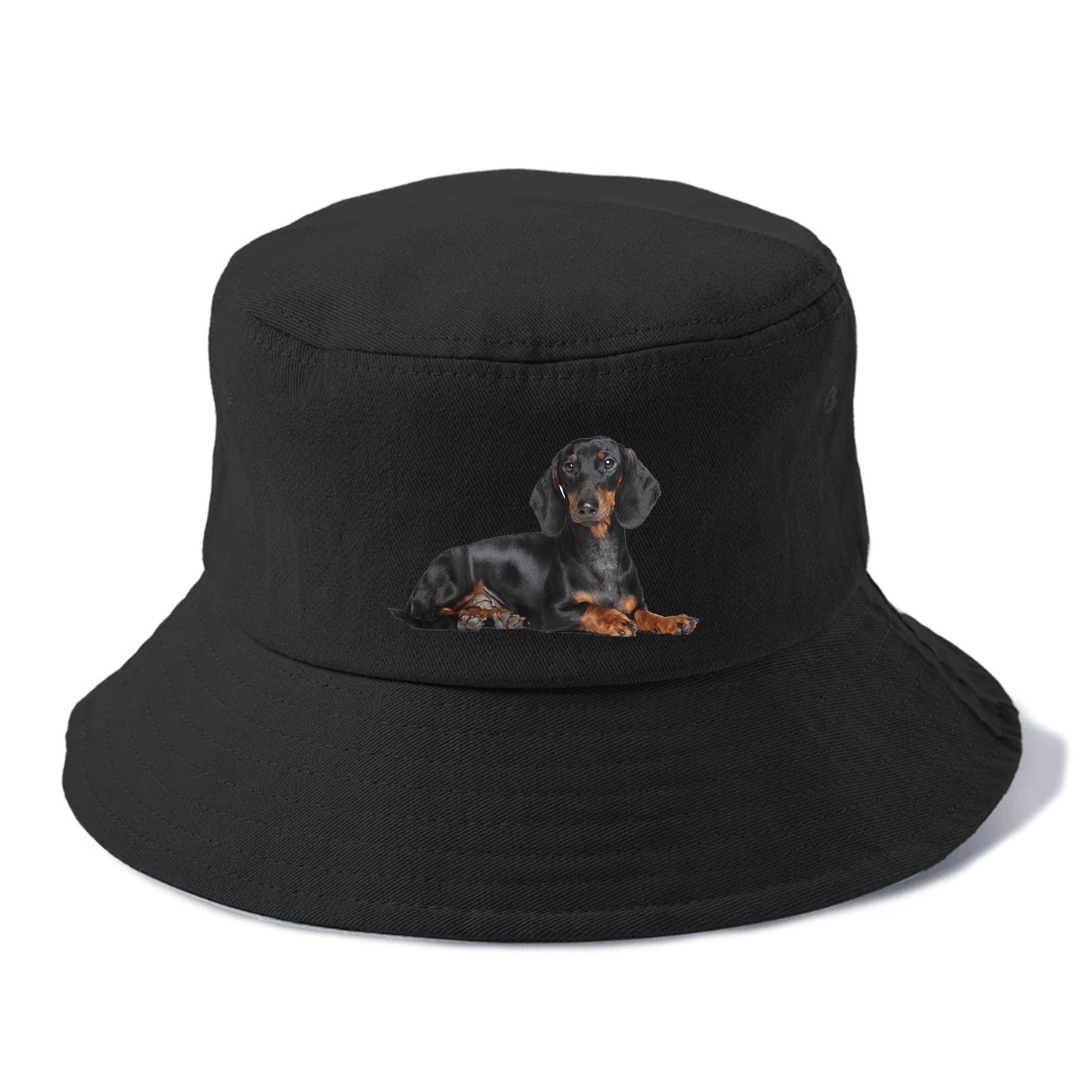 dachshund Hat