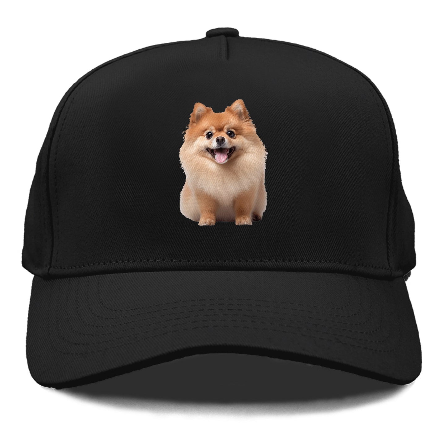 Delighted Pomeranian  Hat