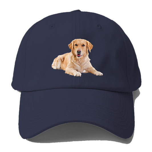 Golden Retriever laying down Hat