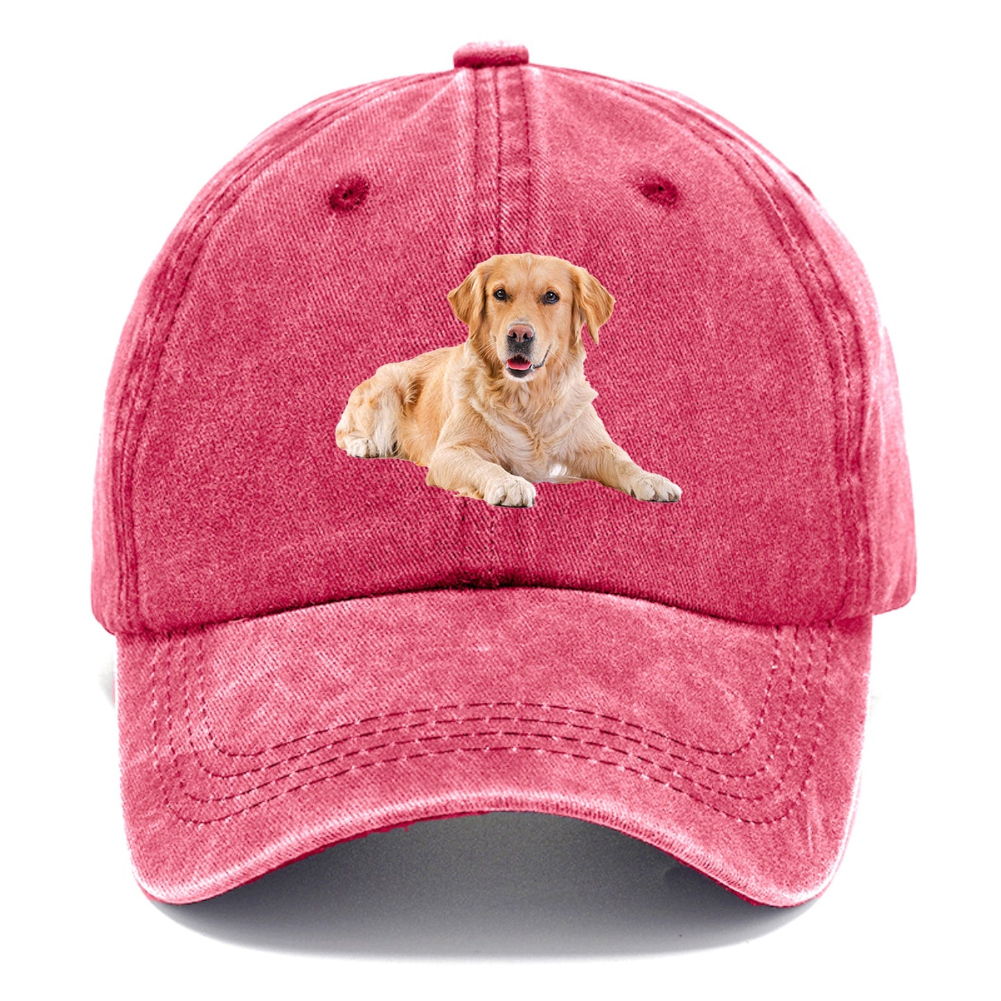 Golden Retriever laying dow Hat