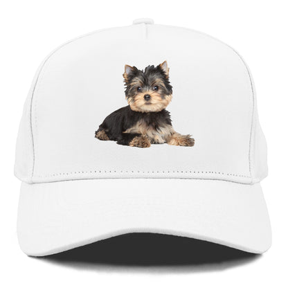 Yorkshire terrier Hat