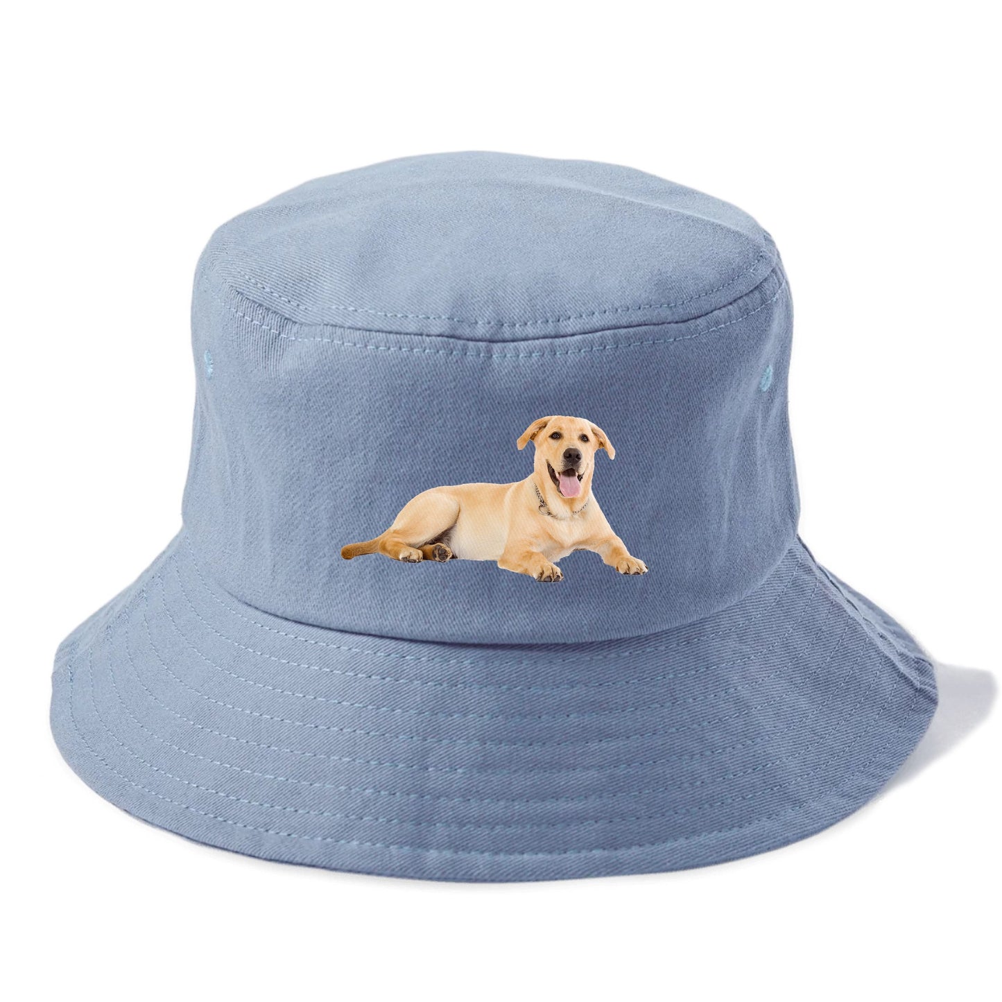 Labrador laying down Hat