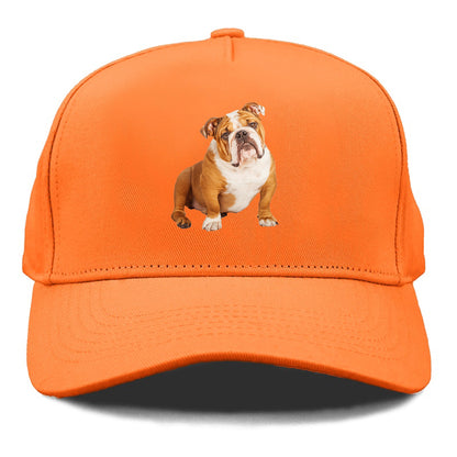 bulldog Hat