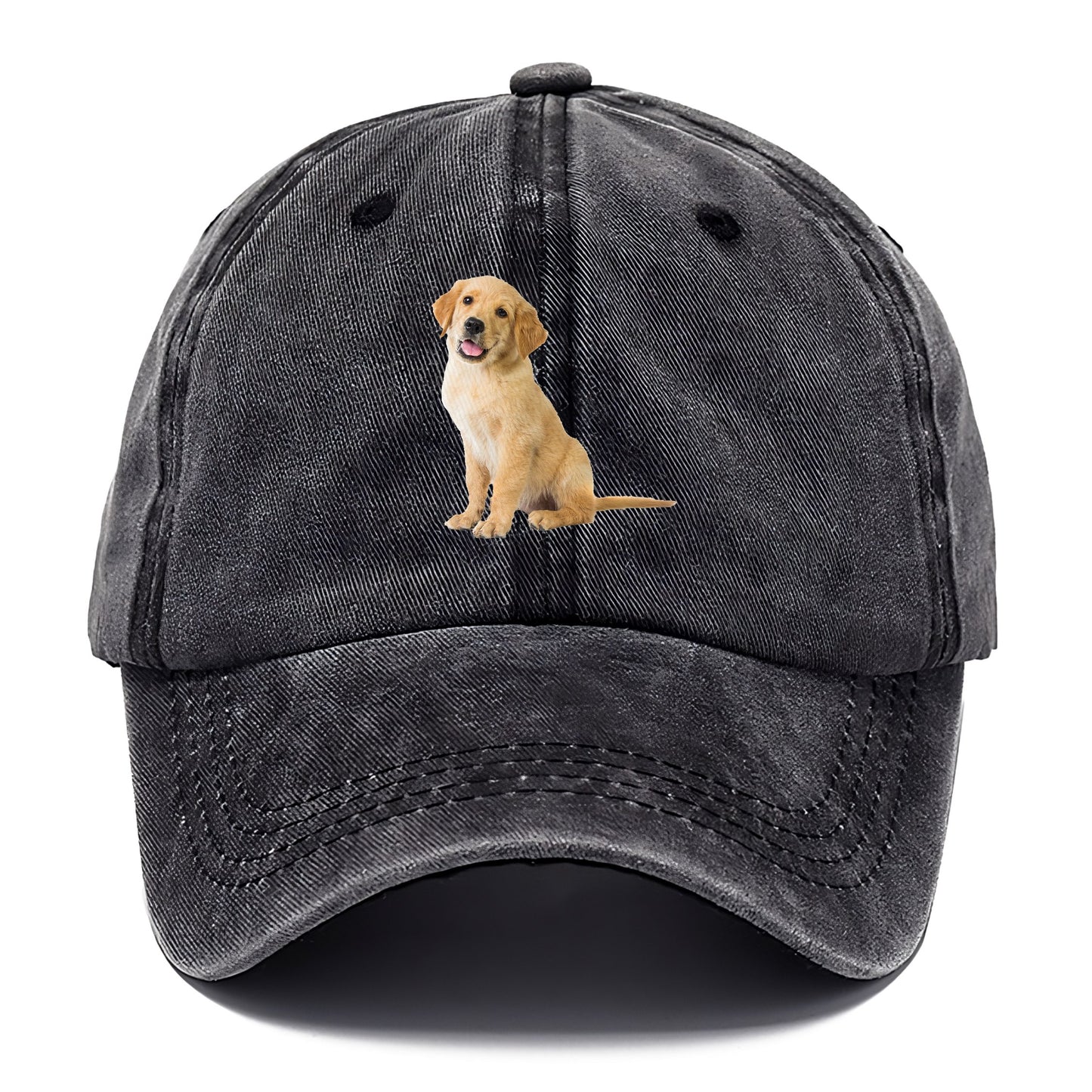 Playful golden pup with a cheerful expression Hat