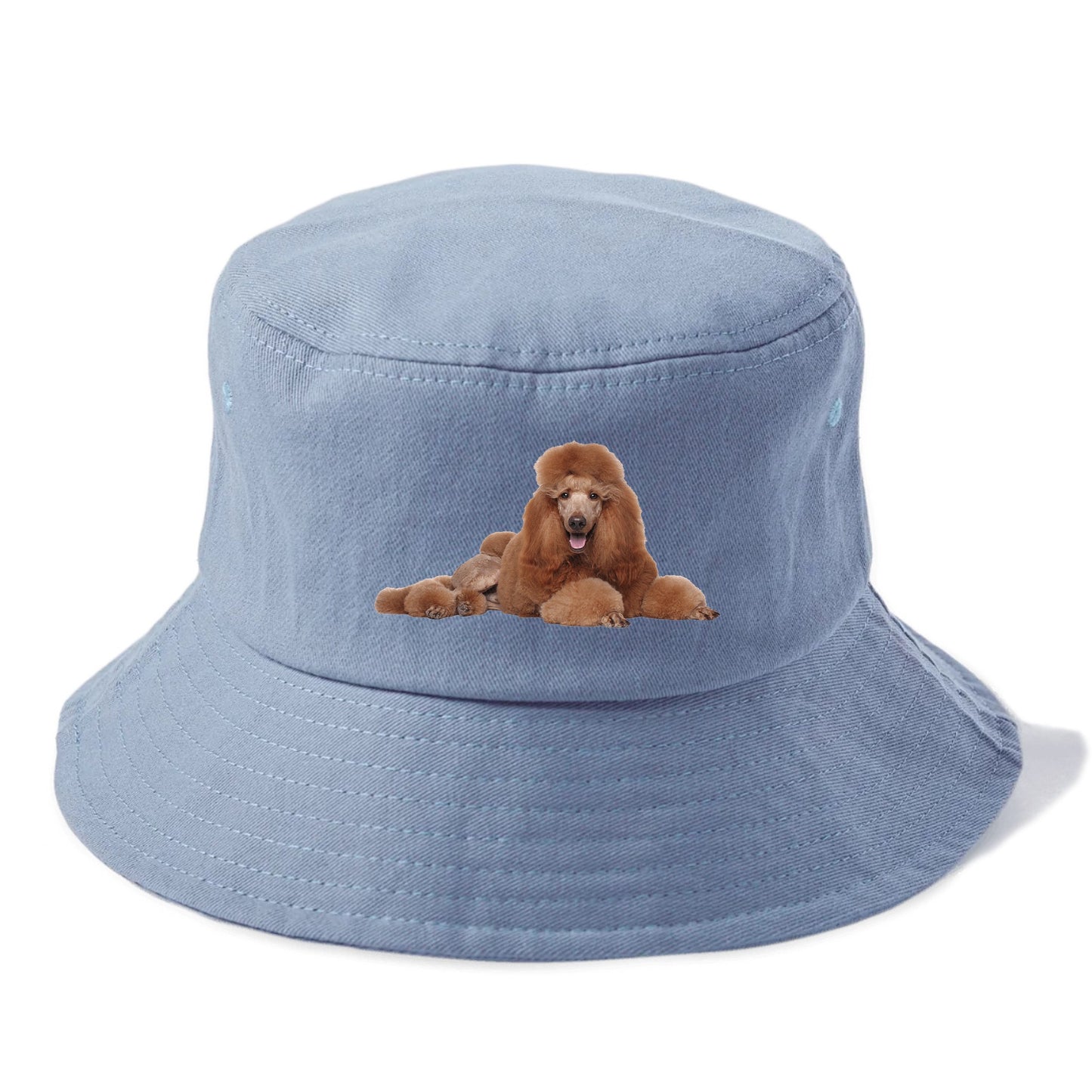 standard poodle Hat