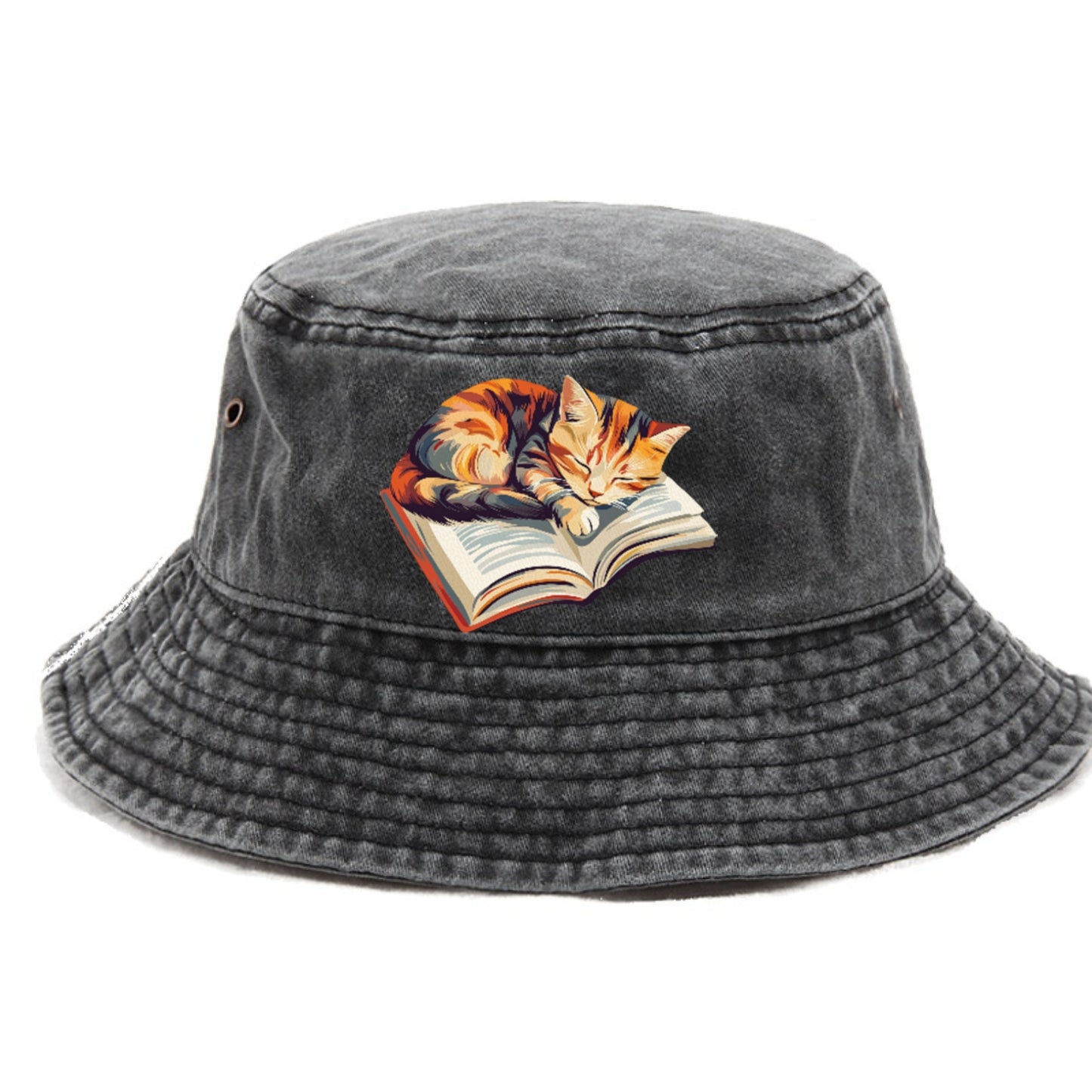 Cat Nap on Book Hat