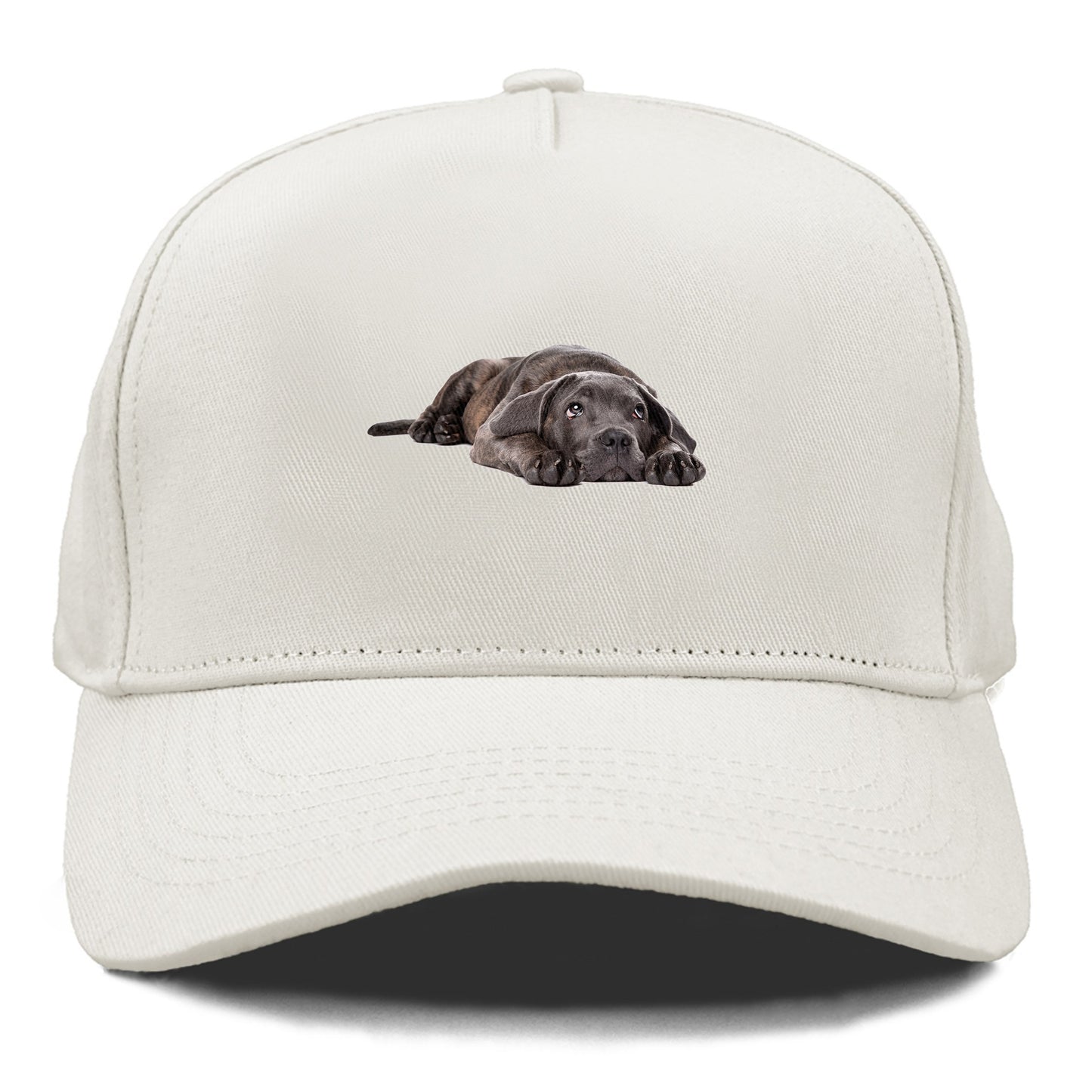 cane corso Hat