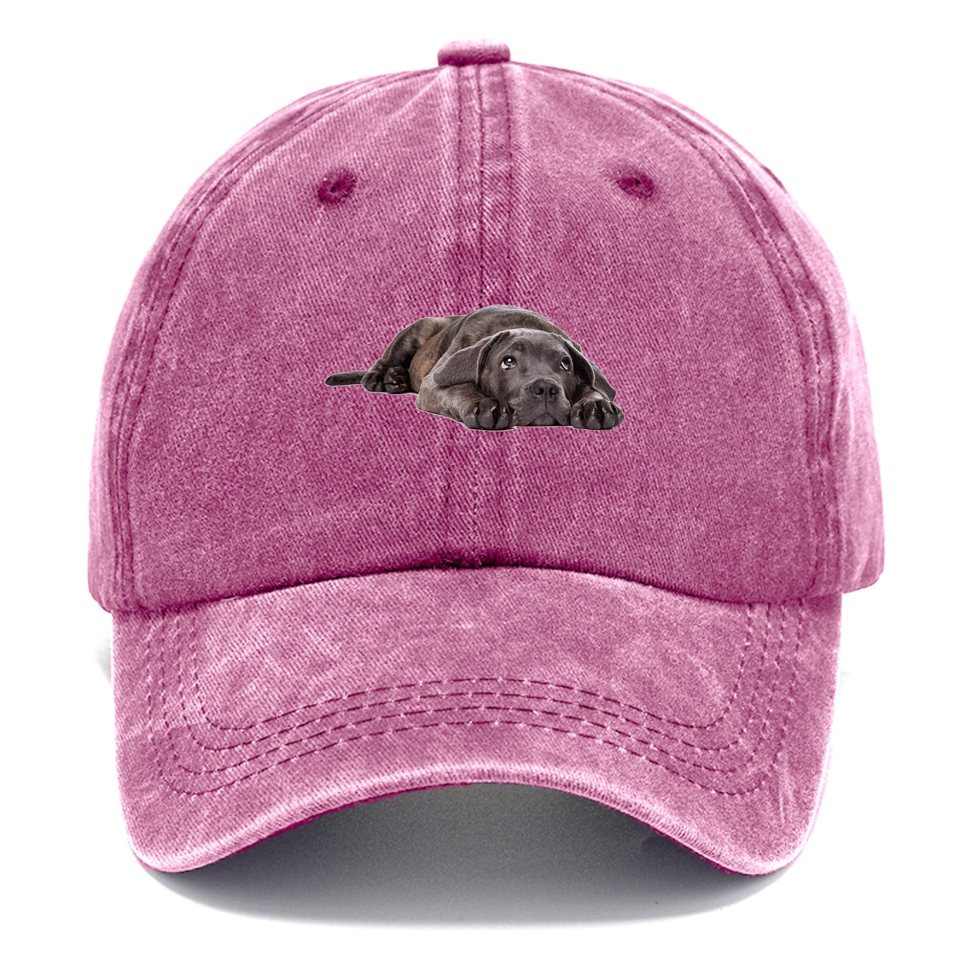 cane corso Hat