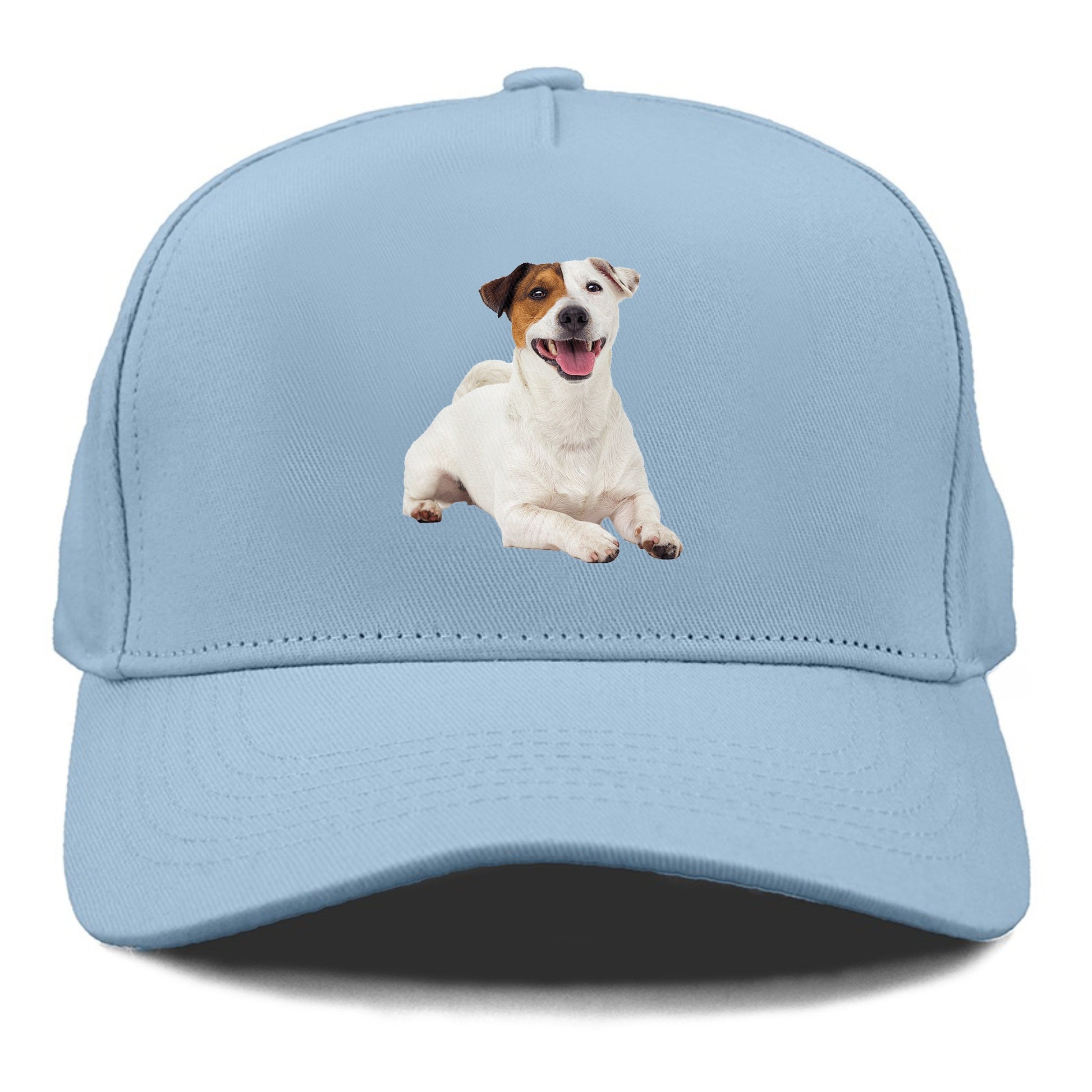 jack russell terrier dog Hat