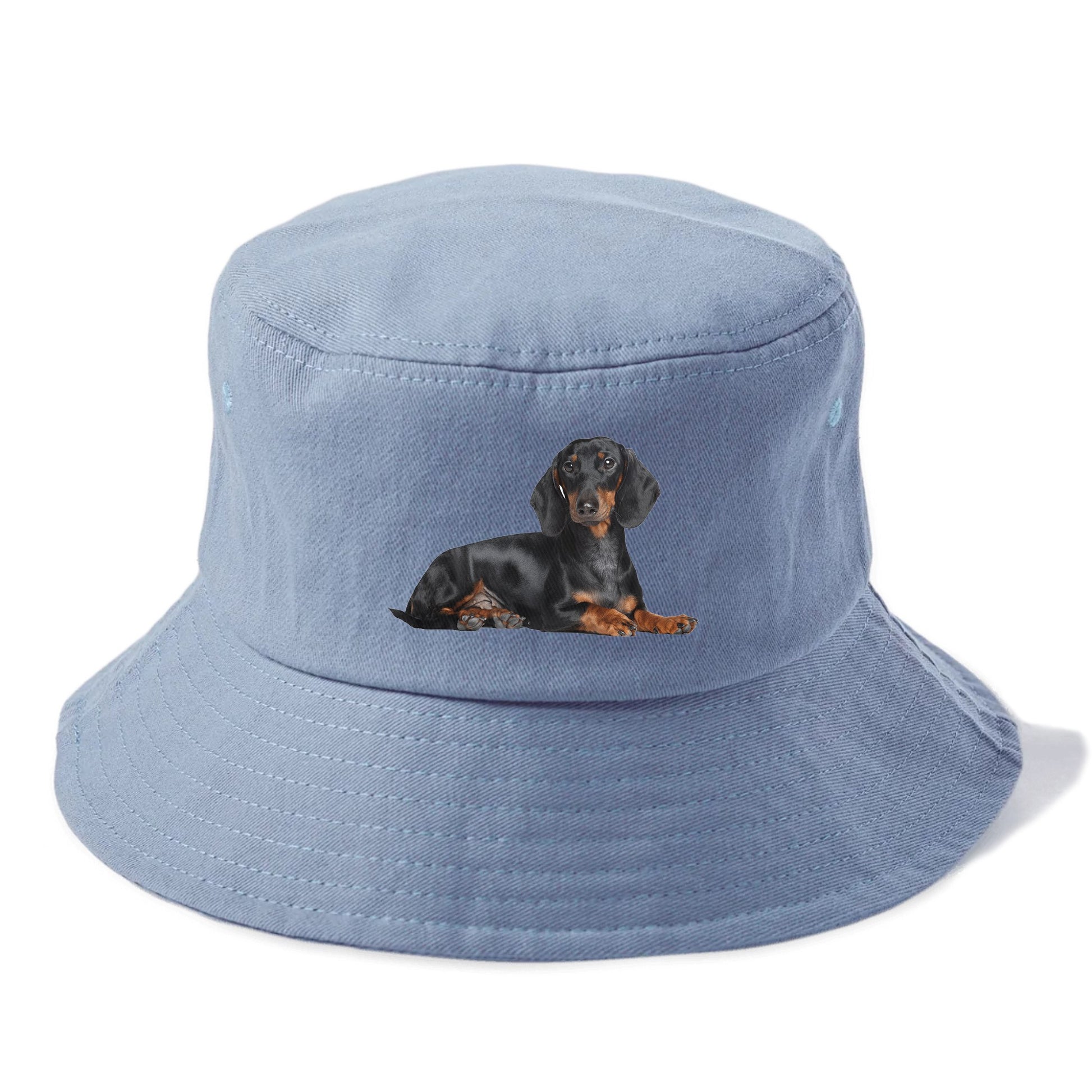 dachshund Hat