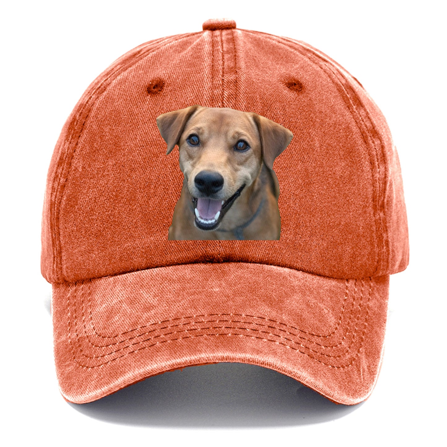 Labrador Hat