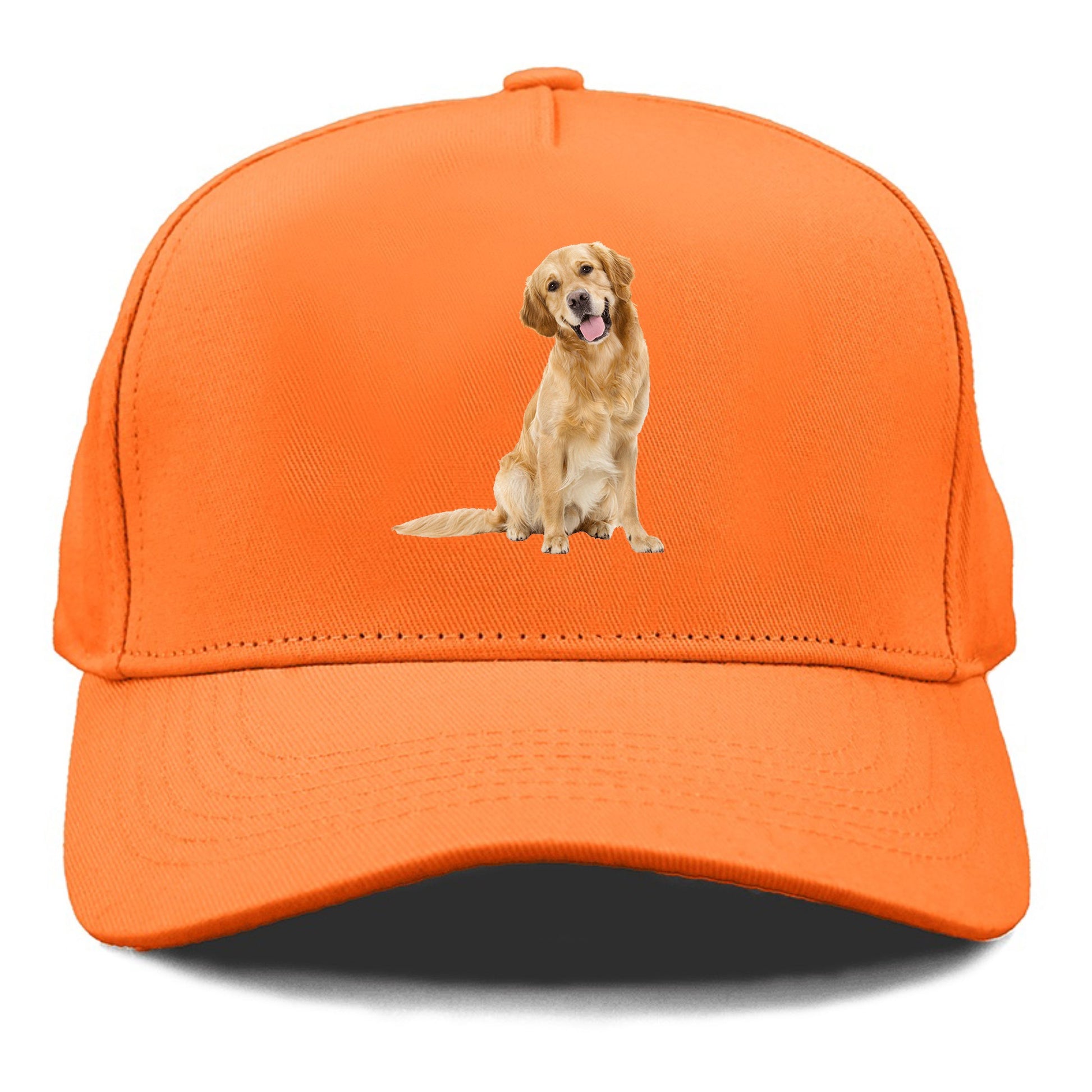 Joyful golden retriever with a radiant smile Hat