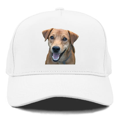 Labrador Hat