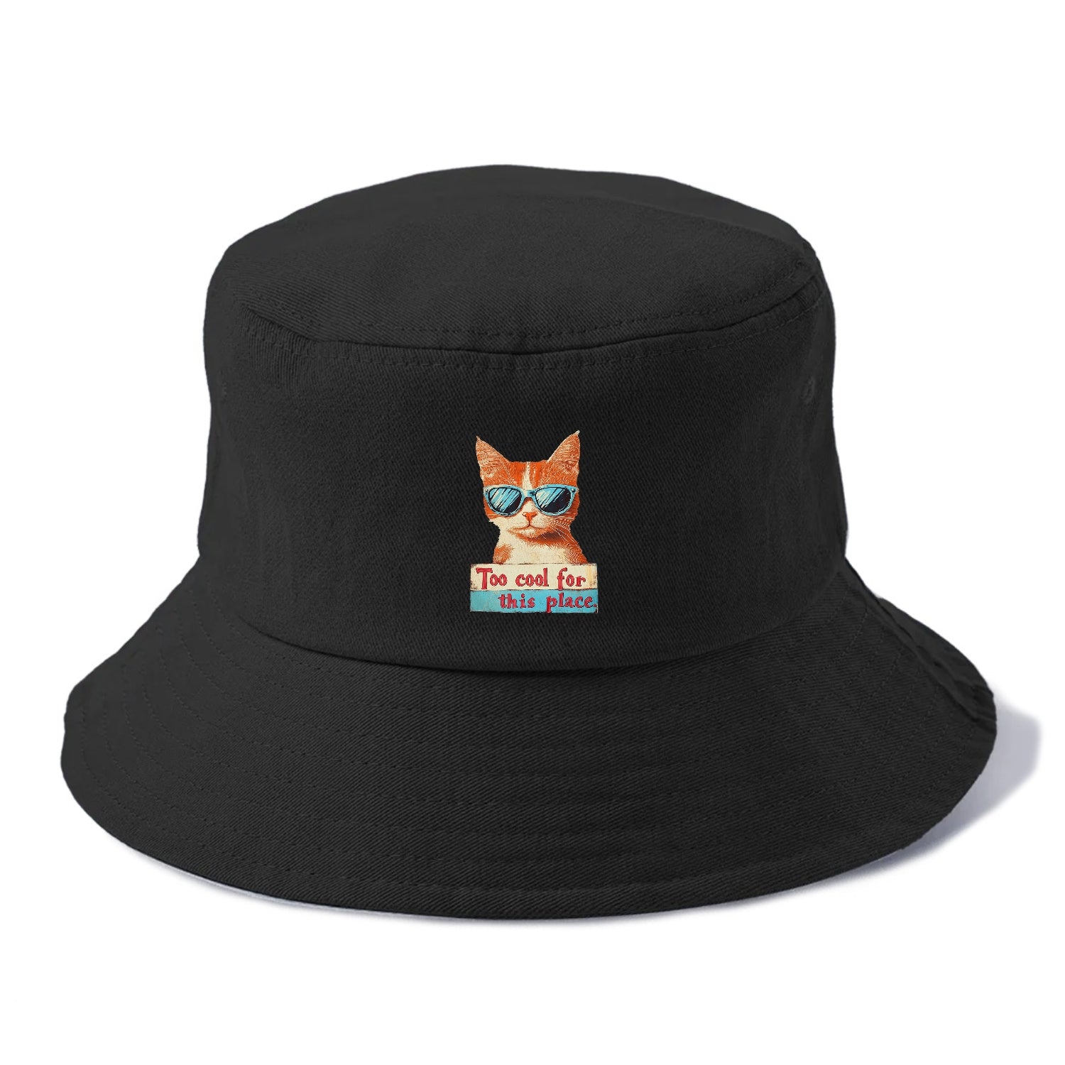 Cool Cat with Sunglasses Hat