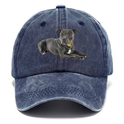 Staffordshire Bull Terrier Classic Cap