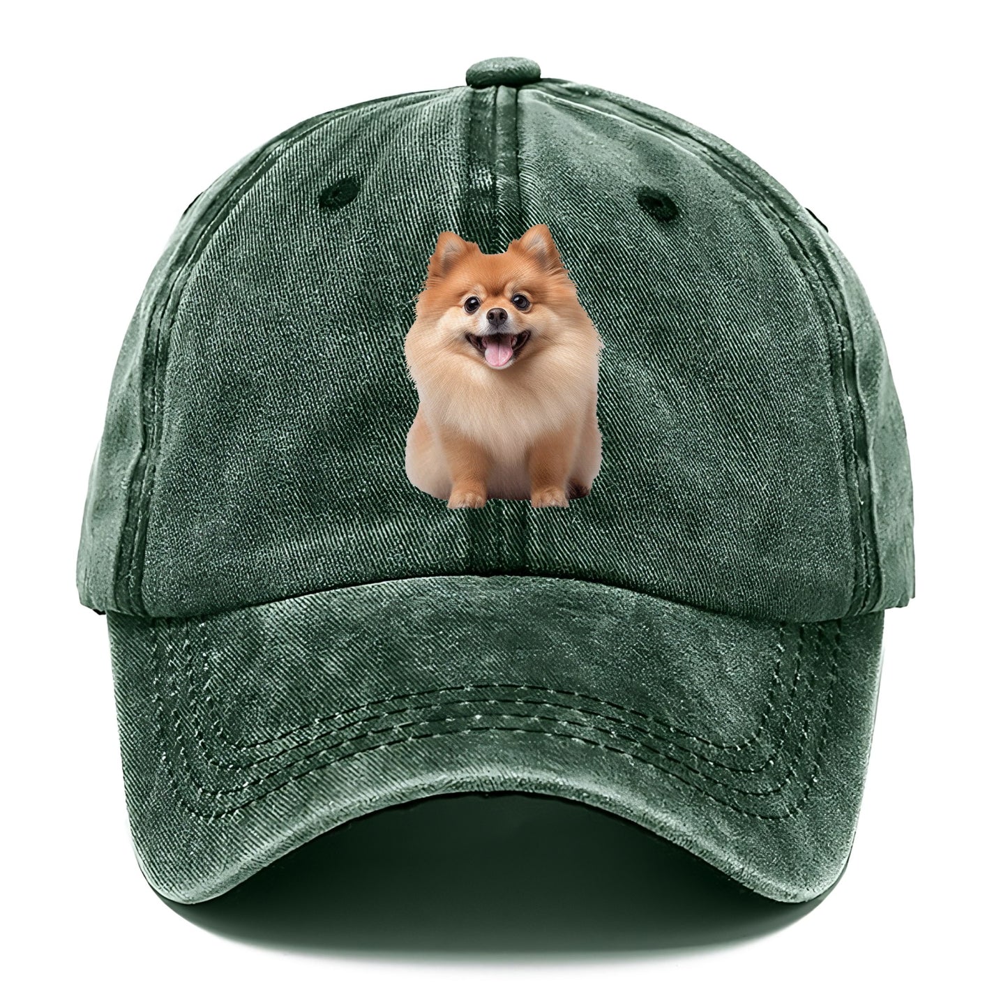 Delighted Pomeranian  Hat