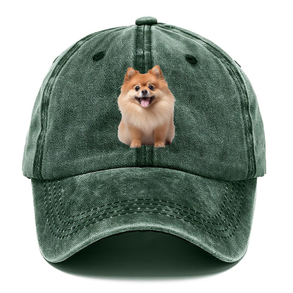 Delighted Pomeranian  Hat