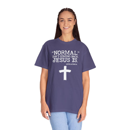 Sacred Verse T-Shirt: Jesus Is Here, Normal Isn't Coming Back - Pandaize