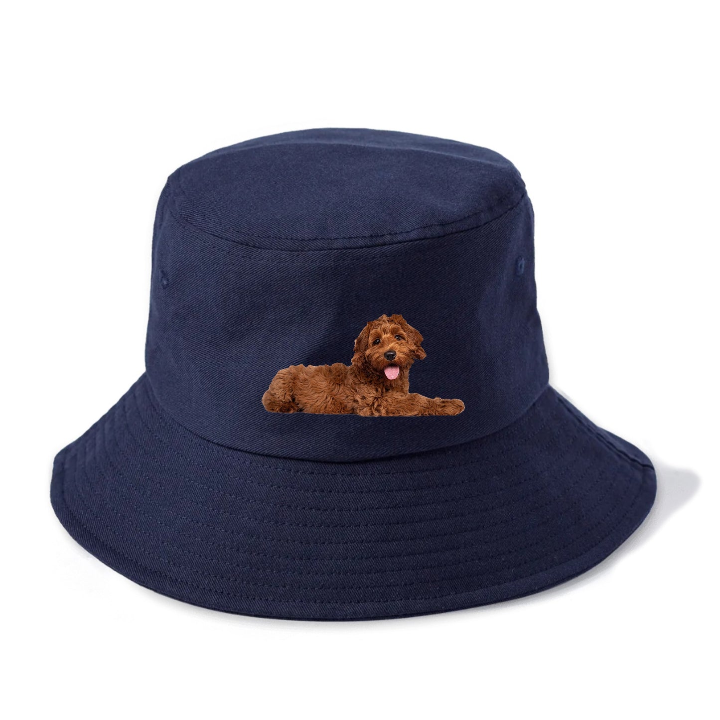 Labradoodle laying down Hat