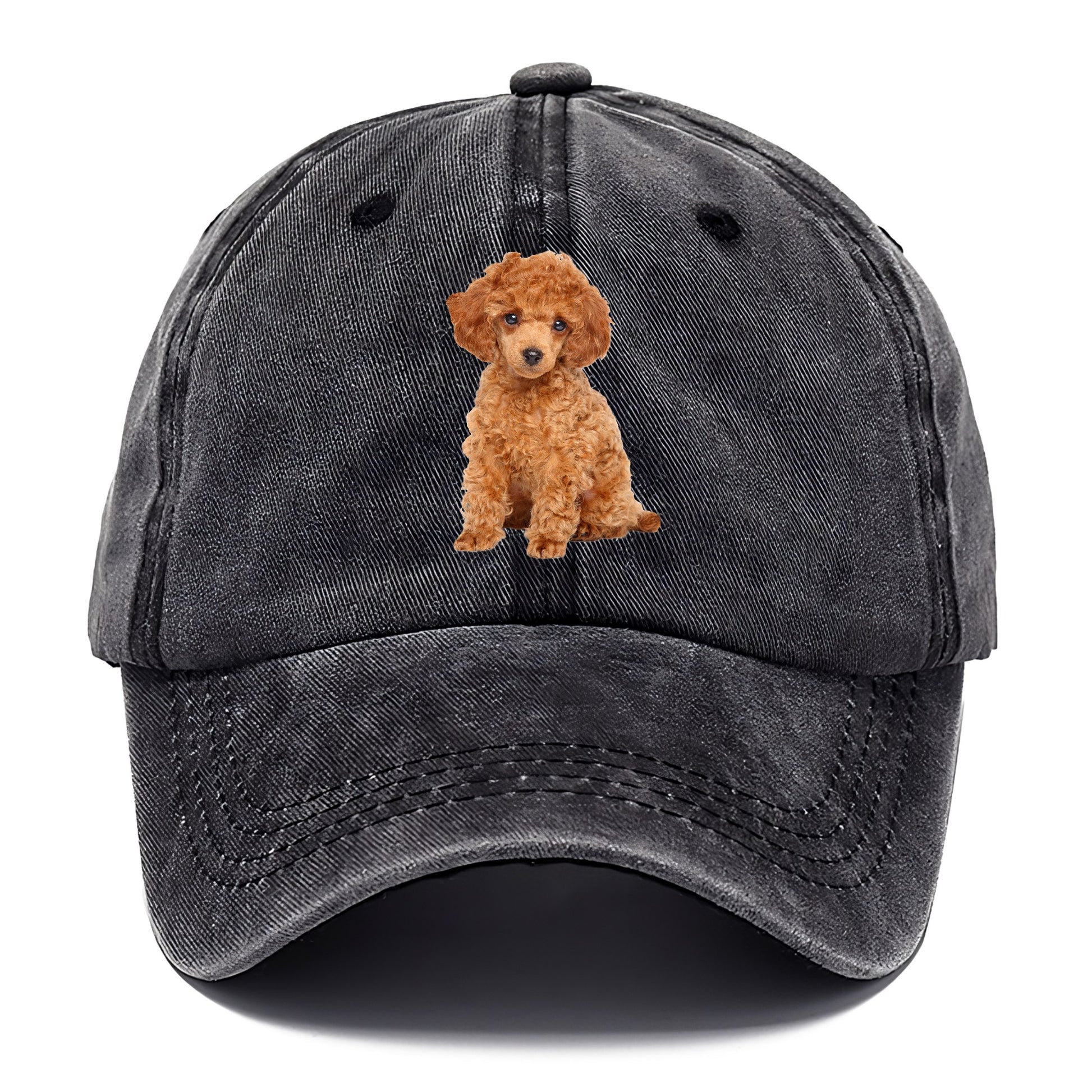 toy poodle Hat