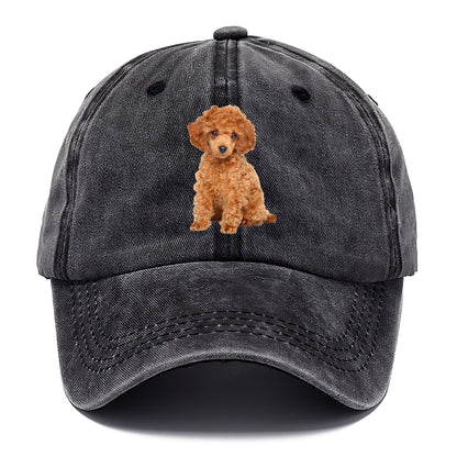 toy poodle Hat