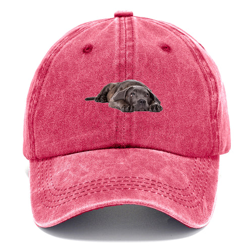 Cane Corso Classic Cap