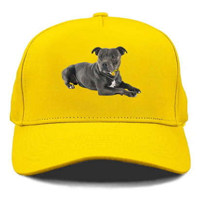Staffordshire Bull Terrier Hat