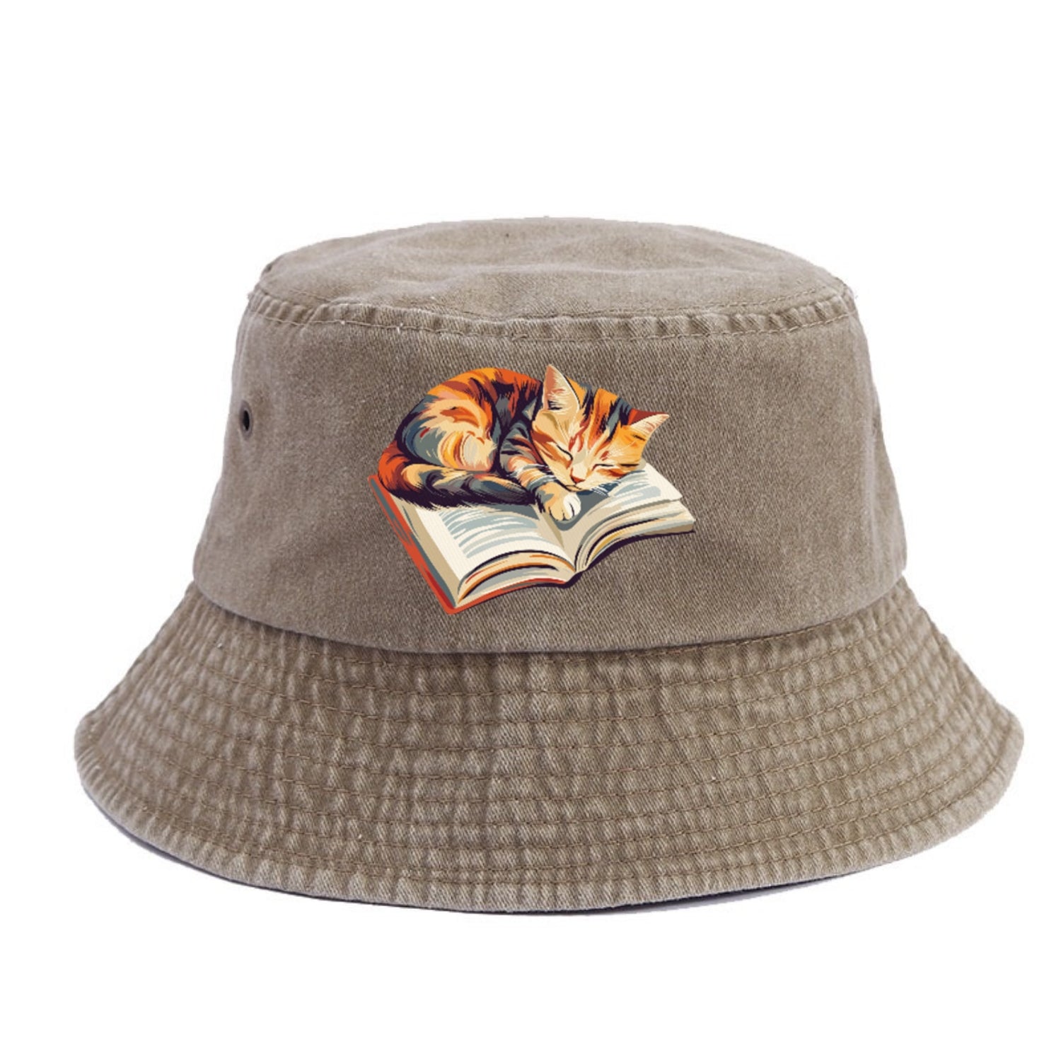 Cat Nap on Book Hat