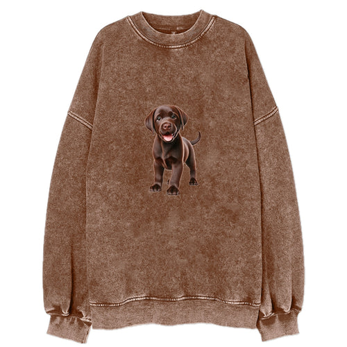 Chocolate Labrador Vintage Sweatshirt