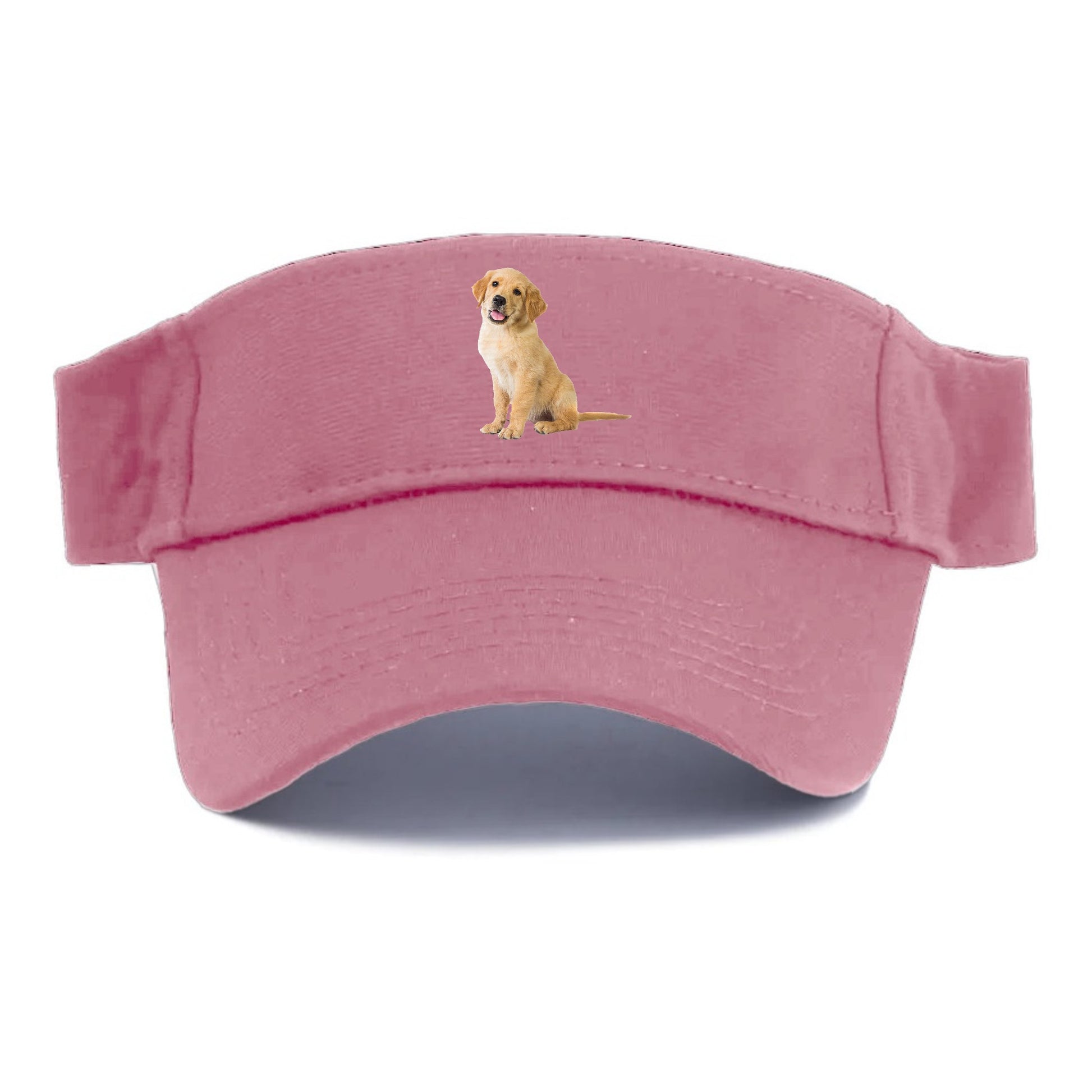 Playful golden pup with a cheerful expression Hat