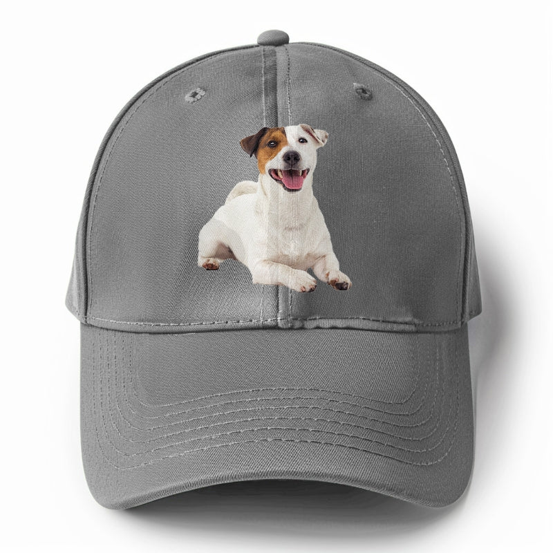 jack russell terrier dog Hat